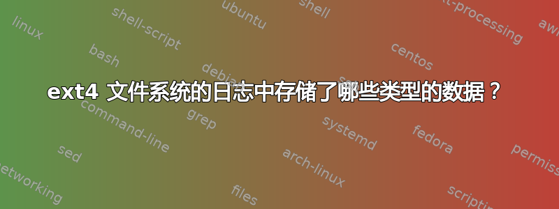 ext4 文件系统的日志中存储了哪些类型的数据？