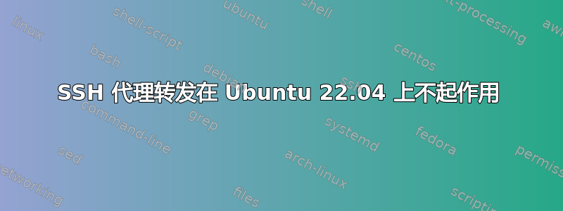 SSH 代理转发在 Ubuntu 22.04 上不起作用