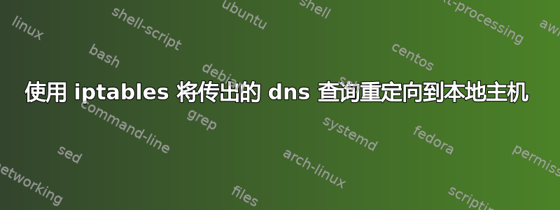 使用 iptables 将传出的 dns 查询重定向到本地主机