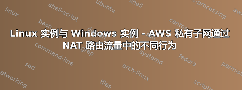 Linux 实例与 Windows 实例 - AWS 私有子网通过 NAT 路由流量中的不同行为