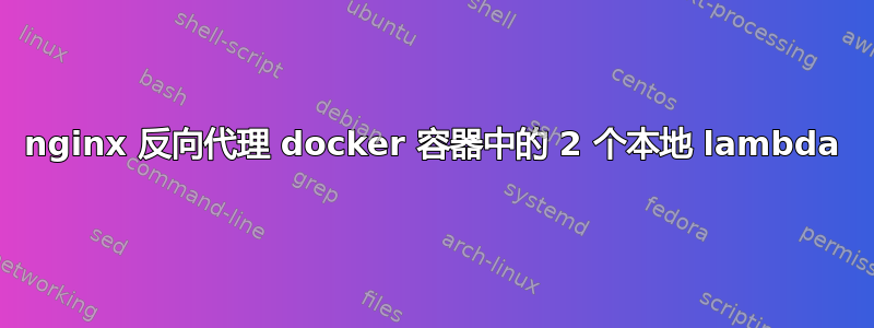 nginx 反向代理 docker 容器中的 2 个本地 lambda