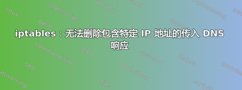 iptables：无法删除包含特定 IP 地址的传入 DNS 响应