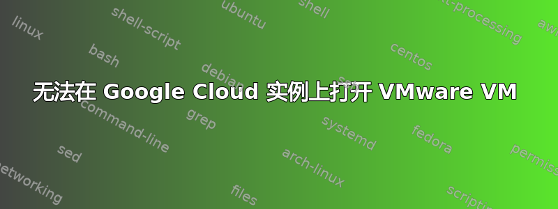 无法在 Google Cloud 实例上打开 VMware VM