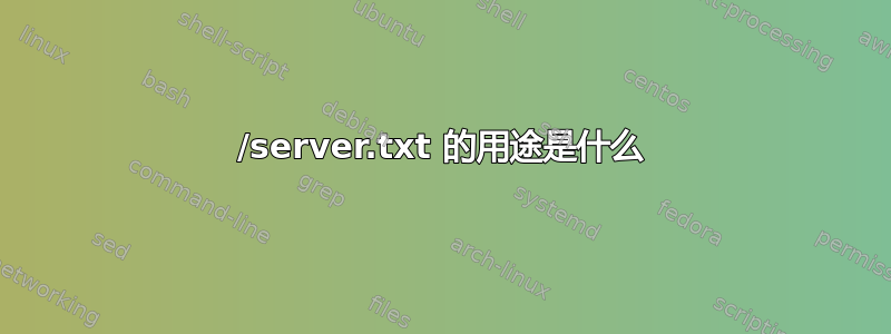 /server.txt 的用途是什么