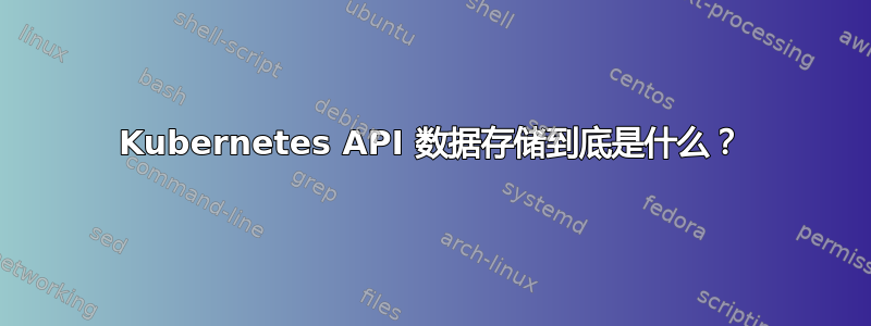 Kubernetes API 数据存储到底是什么？