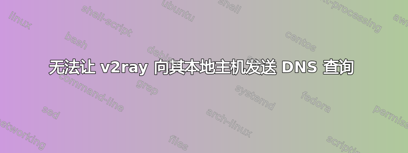 无法让 v2ray 向其本地主机发送 DNS 查询