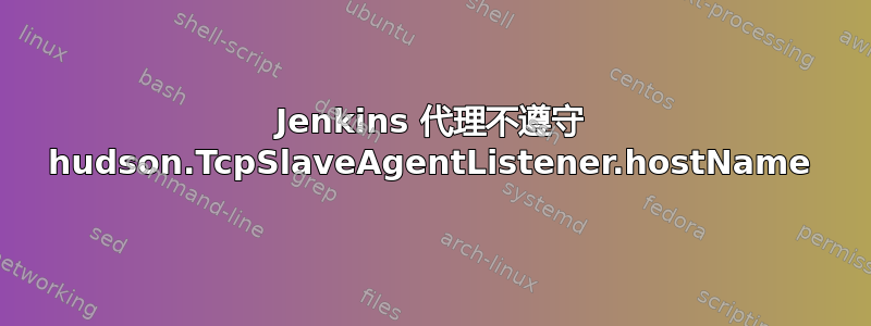 Jenkins 代理不遵守 hudson.TcpSlaveAgentListener.hostName