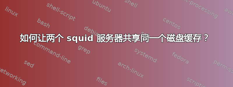 如何让两个 squid 服务器共享同一个磁盘缓存？