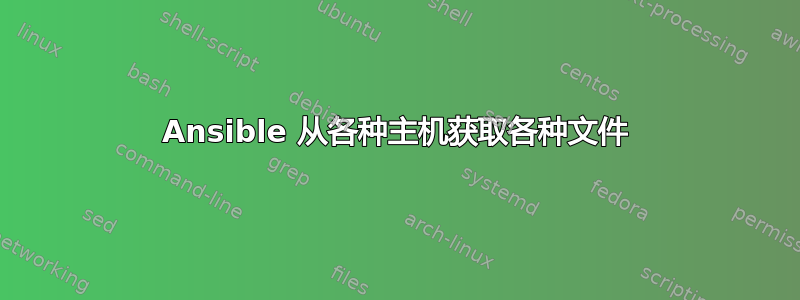 Ansible 从各种主机获取各种文件