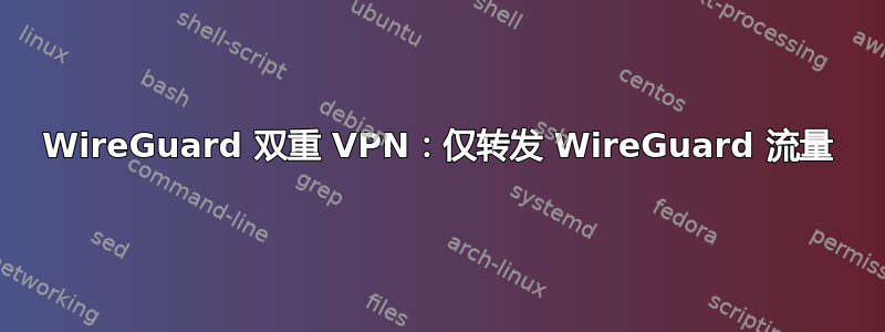 WireGuard 双重 VPN：仅转发 WireGuard 流量