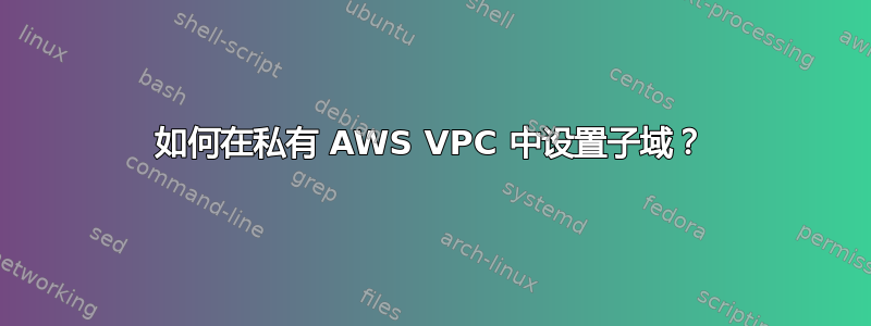 如何在私有 AWS VPC 中设置子域？