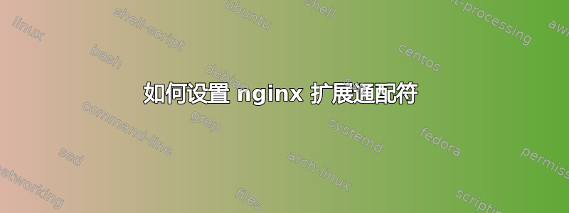 如何设置 nginx 扩展通配符