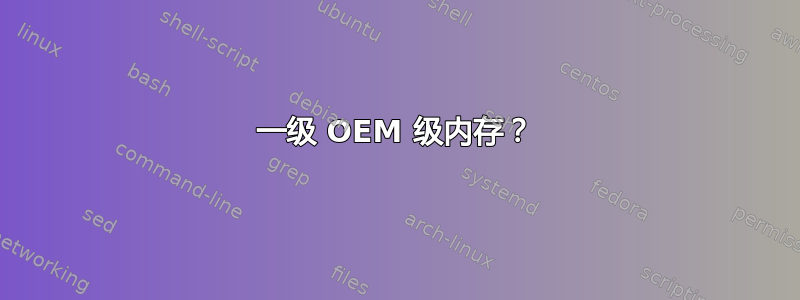 一级 OEM 级内存？