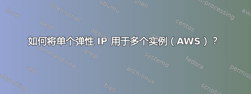 如何将单个弹性 IP 用于多个实例（AWS）？