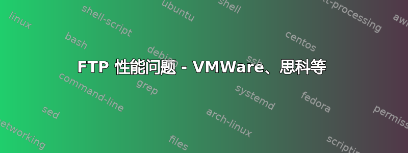 FTP 性能问题 - VMWare、思科等