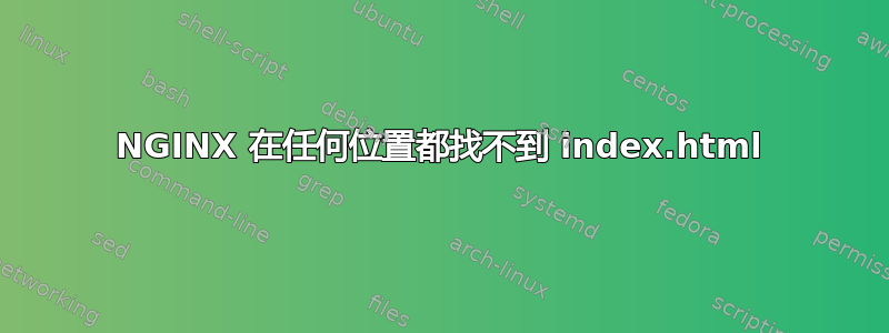 NGINX 在任何位置都找不到 index.html