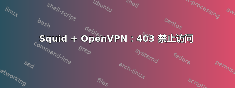 Squid + OpenVPN：403 禁止访问