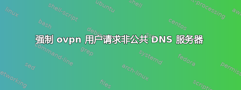 强制 ovpn 用户请求非公共 DNS 服务器