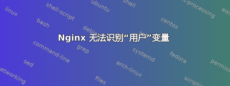 Nginx 无法识别“用户”变量