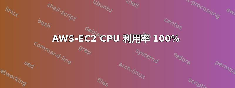 AWS-EC2 CPU 利用率 100%