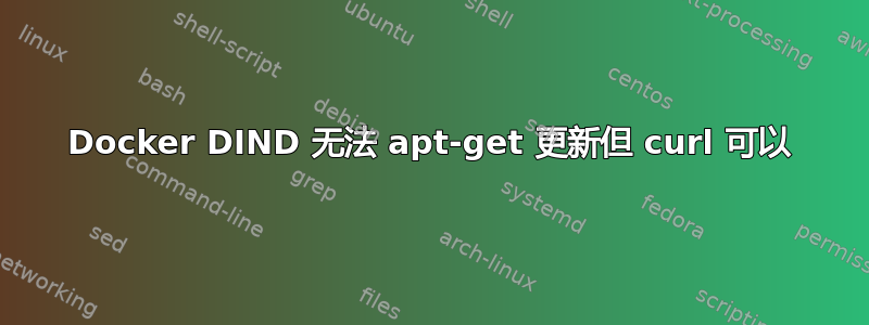 Docker DIND 无法 apt-get 更新但 curl 可以