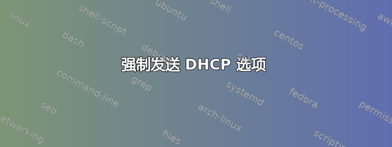 强制发送 DHCP 选项