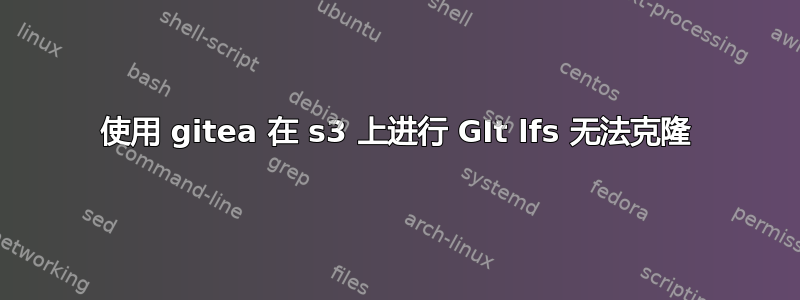 使用 gitea 在 s3 上进行 GIt lfs 无法克隆