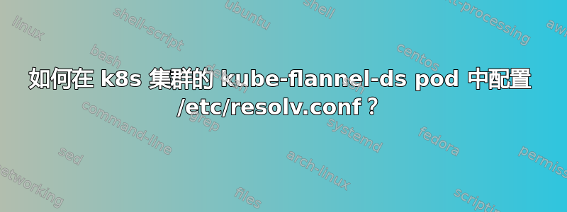 如何在 k8s 集群的 kube-flannel-ds pod 中配置 /etc/resolv.conf？