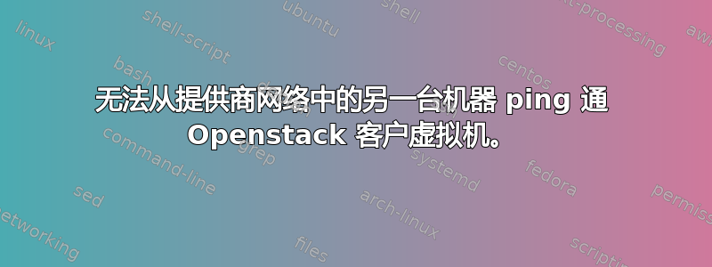 无法从提供商网络中的另一台机器 ping 通 Openstack 客户虚拟机。