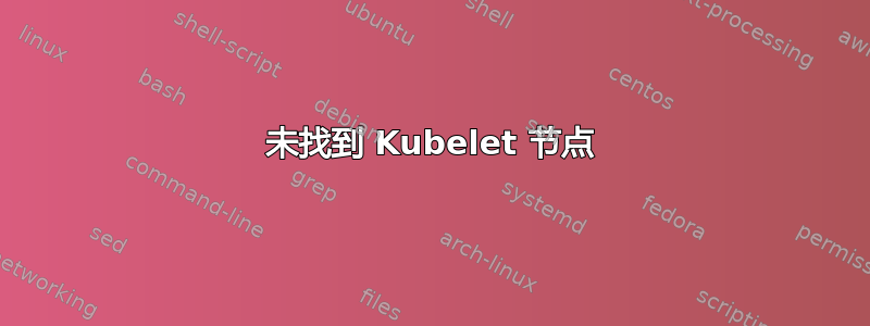 未找到 Kubelet 节点