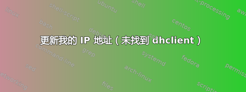 更新我的 IP 地址（未找到 dhclient）