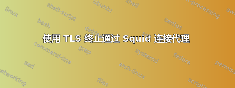 使用 TLS 终止通过 Squid 连接代理