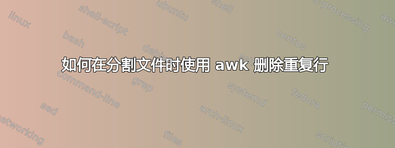 如何在分割文件时使用 awk 删除重复行