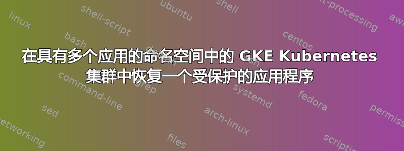 在具有多个应用的​​命名空间中的 GKE Kubernetes 集群中恢复一个受保护的应用程序