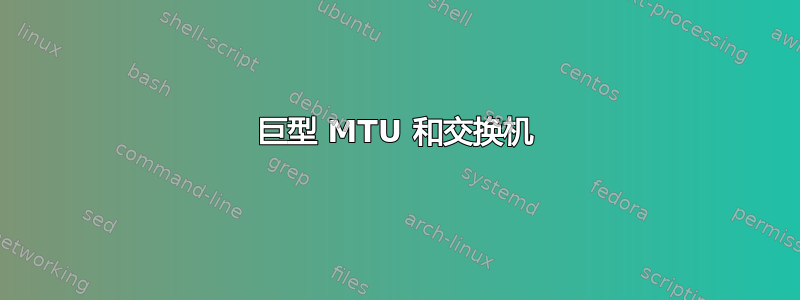 巨型 MTU 和交换机