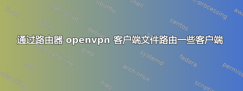 通过路由器 openvpn 客户端文件路由一些客户端