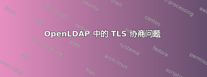 OpenLDAP 中的 TLS 协商问题