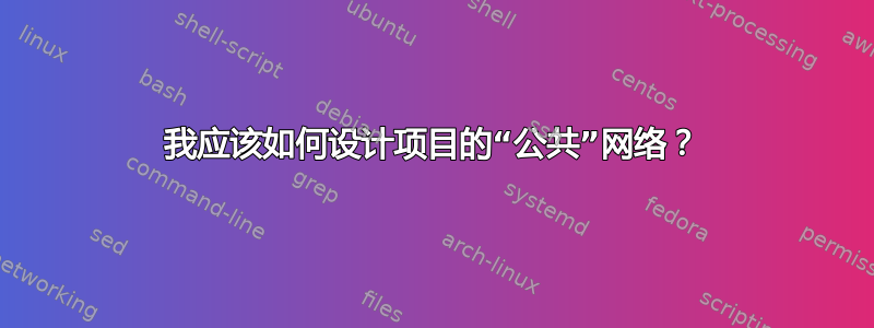 我应该如何设计项目的“公共”网络？