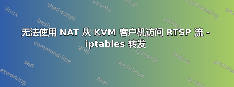 无法使用 NAT 从 KVM 客户机访问 RTSP 流 - iptables 转发