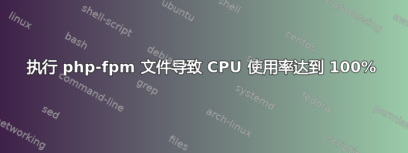 执行 php-fpm 文件导致 CPU 使用率达到 100%