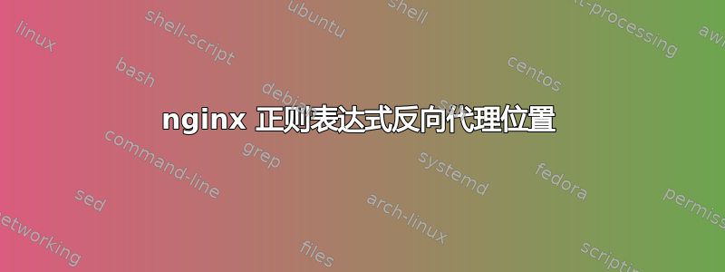 nginx 正则表达式反向代理位置