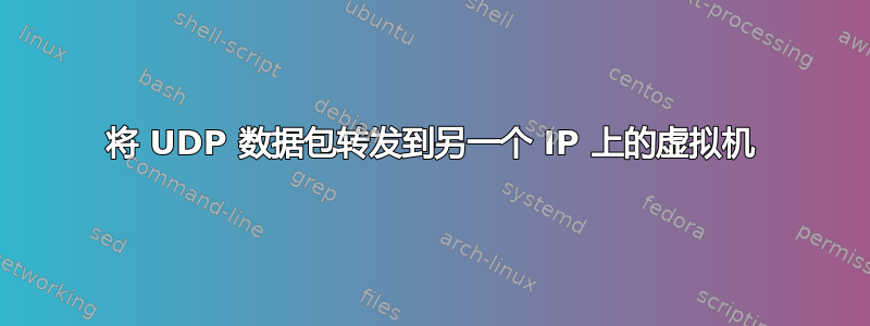 将 UDP 数据包转发到另一个 IP 上的虚拟机