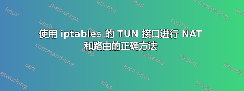 使用 iptables 的 TUN 接口进行 NAT 和路由的正确方法