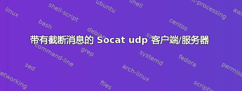 带有截断消息的 Socat udp 客户端/服务器