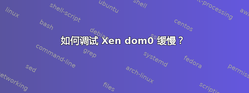 如何调试 Xen dom0 缓慢？