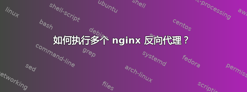 如何执行多个 nginx 反向代理？