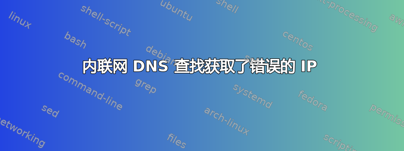 内联网 DNS 查找获取了错误的 IP