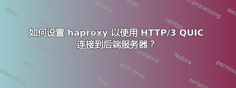 如何设置 haproxy 以使用 HTTP/3 QUIC 连接到后端服务器？