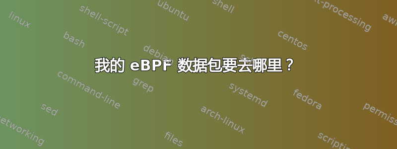 我的 eBPF 数据包要去哪里？