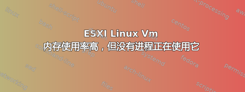 ESXI Linux Vm 内存使用率高，但没有进程正在使用它